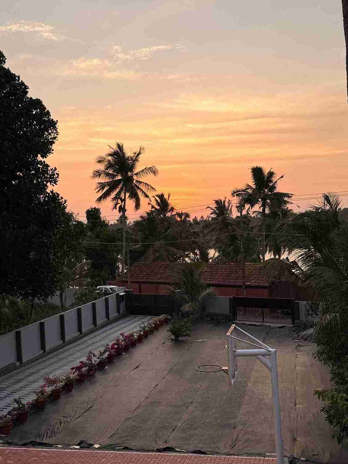 Gallery View 24