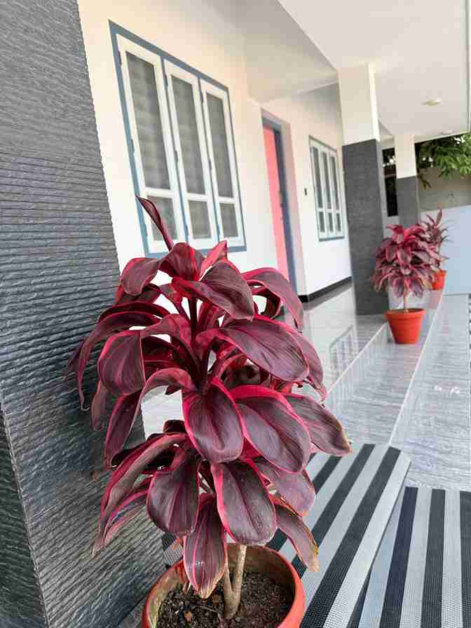 Gallery View 33